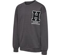 Hummel Sweatshirts & hoodies Hmlallton Sweatshirt