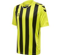 Hummel Trikot Kurzarm Hmlcore Xk Striped Jersey S/S
