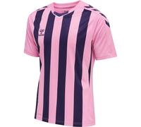 Hummel Trikot Kurzarm Hmlcore Xk Striped Jersey S/S