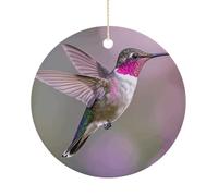 Humming Birds Double-Sided Ceramic Christmas Ornaments - Round Hanging Mini Xmas Tree Decorations, Ideas for Farmers, Rustic Home Decor for Indoor Outdoor Tree Decor