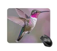 Humming Birds Mouse Pad Square Laptop Mouse Mat Cute Computer Mousepad Keyboard Pad Non-Slip Desk Pads for Gaming Office Work Home 20 * 25cm