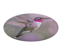 Humming Birds Round Area Rug Non Slip Backing Doormat Water Absorbent Plush Throw Low-Pile Non-Slip Floor Mat Carpet for Living Room Bedroom Entryway Nursery Room 60 * 60cm