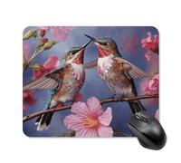 Humming Birds with Pink Mouse Pad Square Mouse Mat Non-Slip Rubber Base Mousepad Wireless Mice Mat for Gaming, Office & Home, Waterproof Mouses Mats for Laptop/Desktop 20 * 25cm