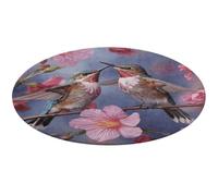 Humming Birds with Pink Round Area Rug Non Slip Backing Doormat Water Absorbent Plush Throw Low-Pile Non-Slip Floor Mat Carpet for Living Room Bedroom Entryway Nursery Room 60 * 60cm