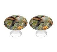 Hummingbird and Daisy Florals Drawer Pulls Handles Knobs Flat Black Cabinet Cup with Screw 2 Pack