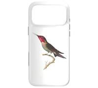 Hummingbird Beautiful Anna’s Hummingbird Case for iPhone 17 Pro Max