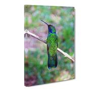 Hummingbird Bird Vol.3 Canvas Print | Gallery Wrapped 30mm Frame Wall Art | 30x20 inches | Ready to Hang | Modern Animals Picture | Living Room Bedroom Lounge Office
