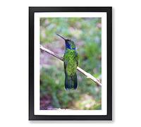 Hummingbird Bird Vol.3 Framed Print | A2 Oak Framed Wall Art | Ready to Hang | Modern Nature Picture | Living Room Bedroom Lounge Office