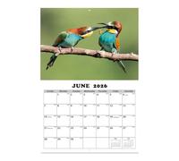 Hummingbird Calendars - Bird Themed Wall Planner Illustrated Nature Organizer Multi-Scenario Planning Tool | Colorful Hummingbird Illustration Calendar for Home