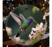 Hummingbird Christmas Tree Ornaments - Round Xmas Hanging Ceramic Pendants, Winter Holiday Hanging Ornament with String, Xmas Gift Keepsake for Women & Men 2.8inch
