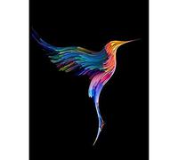Hummingbird Colourful On Black Unframed Art Print Poster Wall Decor 12x16 inch