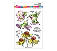 Hummingbird Day
