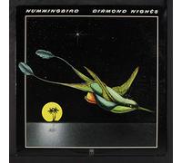 HUMMINGBIRD - diamond nights LP