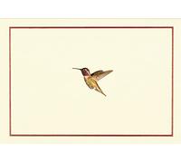 Hummingbird Flight Note Cards (Stationery, Boxed Cards)