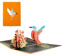 Hummingbird Harmony Pop-Up Greeting Card