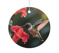 Hummingbird Hover Double-Sided Ceramic Christmas Ornaments - Round Hanging Mini Xmas Tree Decorations, Ideas for Farmers, Rustic Home Decor for Indoor Outdoor Tree Decor
