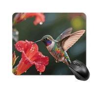 Hummingbird Hover Mouse Pad Square Laptop Mouse Mat Cute Computer Mousepad Keyboard Pad Non-Slip Desk Pads for Gaming Office Work Home 25 * 30cm