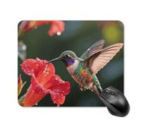 Hummingbird Hover Mouse Pad Square Laptop Mouse Mat Cute Computer Mousepad Keyboard Pad Non-Slip Desk Pads for Gaming Office Work Home 20 * 25cm