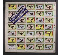 HUMMINGBIRD - hummingbird