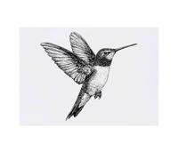 'Hummingbird in Flight' Temporary Tattoo - Water Resistant, Skin-Safe, Non-Toxic Transfer (TO00082187)