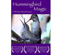 Hummingbird Magic
