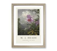 Hummingbird On The Orchid Plant By Martin Johnson Heade Exhibition Museum Painting Framed Wall Art Print, Ready to Hang Picture for Living Room Bedroom Home Office Décor, Oak A3 (34 x 46 cm)