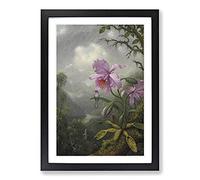 Hummingbird On The Orchid Plant by Martin Johnson Heade Framed Print | A2 Black Framed Wall Art | Ready to Hang | Modern Floral Picture | Living Room Bedroom Lounge Office