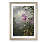 Hummingbird On The Orchid Plant by Martin Johnson Heade Framed Print | A2 Oak Framed Wall Art | Ready to Hang | Modern Floral Picture | Living Room Bedroom Lounge Office