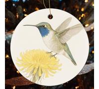 Hummingbird Orange Flower Christmas Tree Ornaments - Round Xmas Hanging Ceramic Pendants, Winter Holiday Hanging Ornament with String, Xmas Gift Keepsake for Women & Men 2.8inch