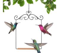 Hummingbird Perch Swing Bird Watching Decor for Parrot