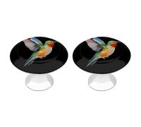 Hummingbird Watercolor Funny Cabinet Knobs 2 Pack Round Drawer Dresser Pulls Door Handles Knobs for Door Wardrobe