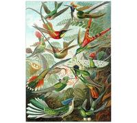 Hummingbirds And Trochilidae (Hummingbirds), Vintage Art Poster, Ernst Haeckel - Premium 1000 pieces Puzzle - MyPuzzle special collection from Havana Puzzle Company
