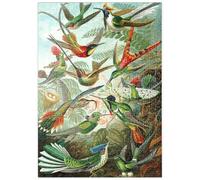 Hummingbirds And Trochilidae (Hummingbirds), Vintage Art Poster, Ernst Haeckel - Premium 500 pieces Puzzle - MyPuzzle special collection from Havana Puzzle Company