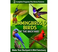 Hummingbirds & Birds of the Backyard