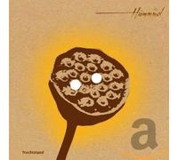 Hummmel - Fruchtstand