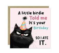 Humorous Birthday Card - Happy Birthday for Friends - Funny Design - Cat Birthday Card - 145mm x 145mm Greetings Card With Craft Brown Envelope - Birthday Card For Women Girls