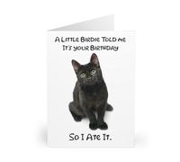 Humorous Black Cat Birthday Card - 'A Little Birdie Told Me' Joke - Perfect for Cat Lovers - Whimsical Birthday Fun - Blank Inside