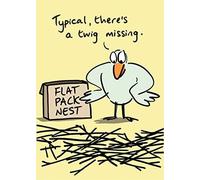 Humorous Blank/Birthday Greeting Card - Flat Pack Nest - Neon Finish - from The Birdiculous Range (LL-BBR007)