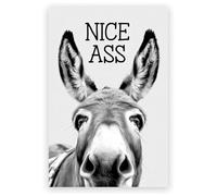 Humorous Donkey Canvas Wall Art - Funny Bathroom Sign for Toilet Decor, Farmhouse & Restaurant Wall | Perfect Housewarming Gift, Unique Gag Gift for Home, Hotel or Office (C,40x40cm with frame)