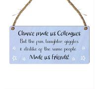 Humorous Friendship Plaque - "Chance Made Us Colleagues, Fun Made Us Friends" Funny Wall Hanging Gift for Work Friends, Rustic MDF Sign for Office or Home Decor (Large: 29 cm (H) × 13.5 cm (W))