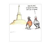Humorous Greeting Card (PLK6415) - Blank/Birthday - It's Nice - Pigeons