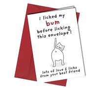 Humorous Happy Birthday Card from The Cat Pet Kitten Amusing Cat Theme Perfect for Mum/Dad/Husband/Wife/Boyfriend/Girlfriend #349