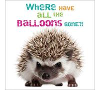 Humorous Photographic Male/Female Birthday Card (ABA-1000) From the Rapture Range - Hedgehog, Where Have the Balloons Gone?! - Greeting Card for Him/for Her