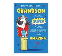 Humour Birthday Card Grandson - 9 x 6 inches - Regal Publishing