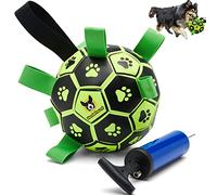 Hundefreund Luminous Dog Football with Grab Handles, Dog Toy Football for Dogs with Pump, Interactive Dog Ball (15 cm) for Indoor, Outdoor and Water