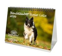 Hundezauber Border Collie DIN A5 Desk Calendar for 2026 Puppies and Dogs - Set: 1 x Calendar, 1 x Christmas Pendant, 1 x Greeting Tag (Total 3 Pieces)