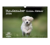 Hundezauber Golden Retriever DIN A3 Calendar for 2026 Puppies and Dogs - Gift Set Contents: 1 x Calendar, 1 x Christmas Pendant (Total 2 Pieces)