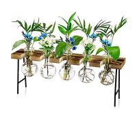 Hundnsney Propagation Stations Desktop Air Plant Terrarium, Glass Planter Bulb Glass Vase with Wooden Stand - Plant Terrarium