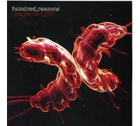 Hundred Reasons - The Perfect Gift