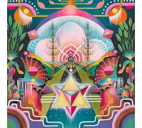 HUNDRED WATT HEART - NEW UNKNOWN - Vinyl Record - J3z